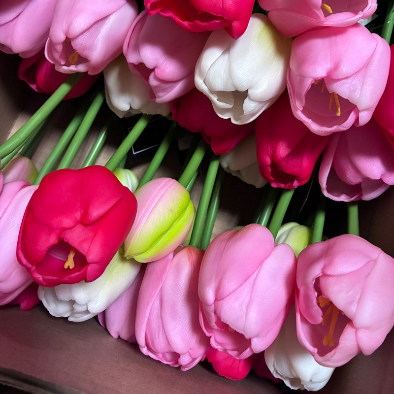 * **PRIMAVERA ESTATE 2026***