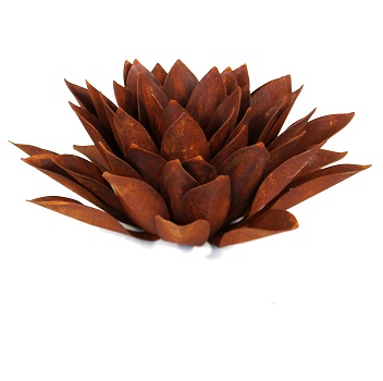 Articoli ferro finitura ruggine-Piante, Fiori e Paraventi