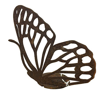 Articoli Ferro Ruggine- Uccelli, insetti, anfibi