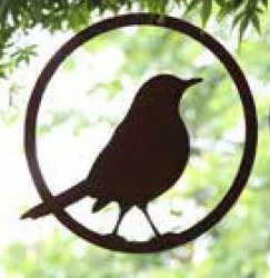 Articoli Ferro Ruggine- Uccelli, insetti, anfibi