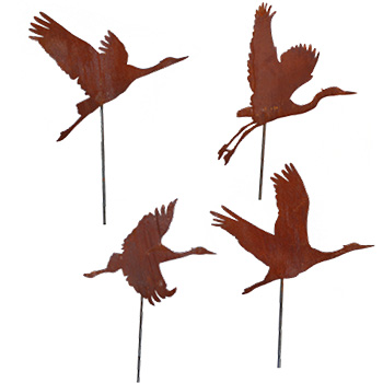 Articoli Ferro Ruggine- Uccelli, insetti, anfibi