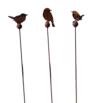 Articoli Ferro Ruggine- Uccelli, insetti, anfibi