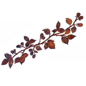 Articoli ferro finitura ruggine-Piante, Fiori e Paraventi