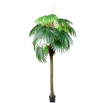 * PRIMAVERA ESTATE 2025***