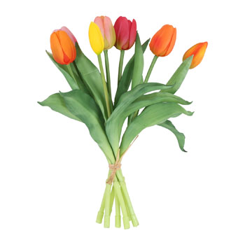 * **PRIMAVERA ESTATE 2026***