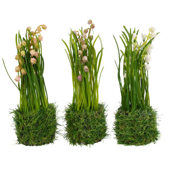 * **PRIMAVERA ESTATE 2026***