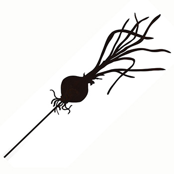 * PRIMAVERA ESTATE 2025***